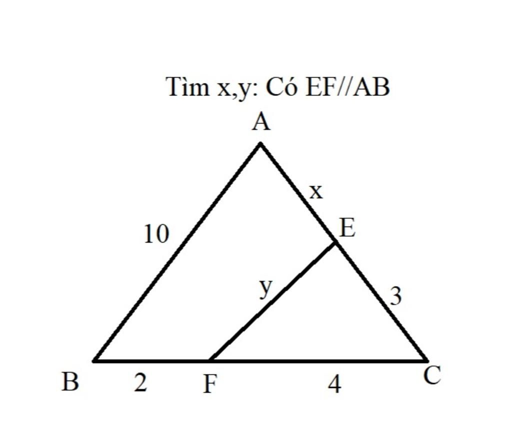 T m X y C EF AB A 10 B 2 F Y X E 4 3 t-m-x-y-c-ef-ab-a-10-b-2-f-y-x-e-4-3