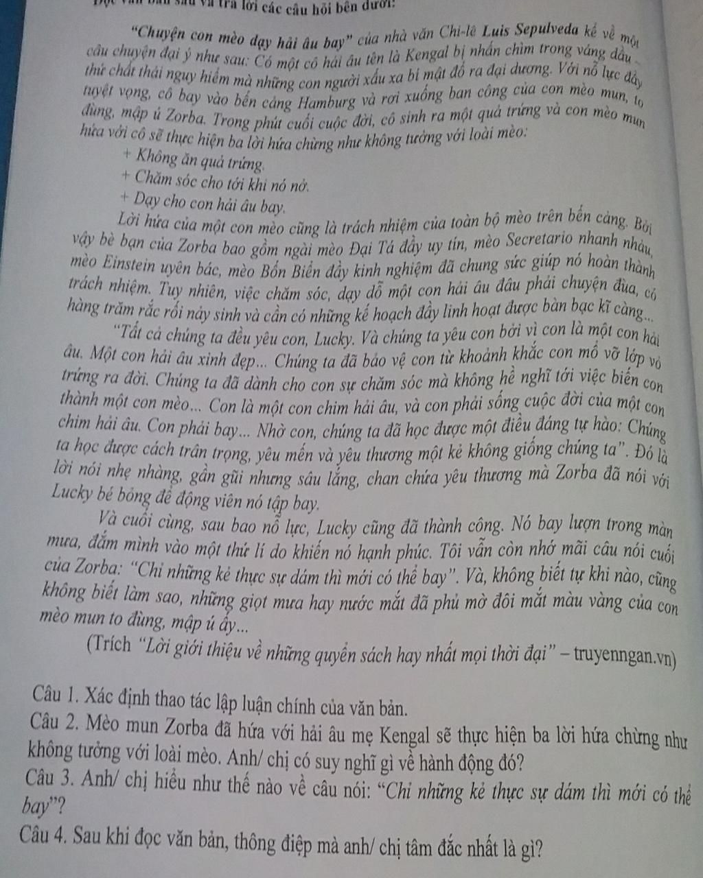 lời các câu hỏi bên dưới: một “Chuyện con mèo dạy hải âu bay” của nhà ...