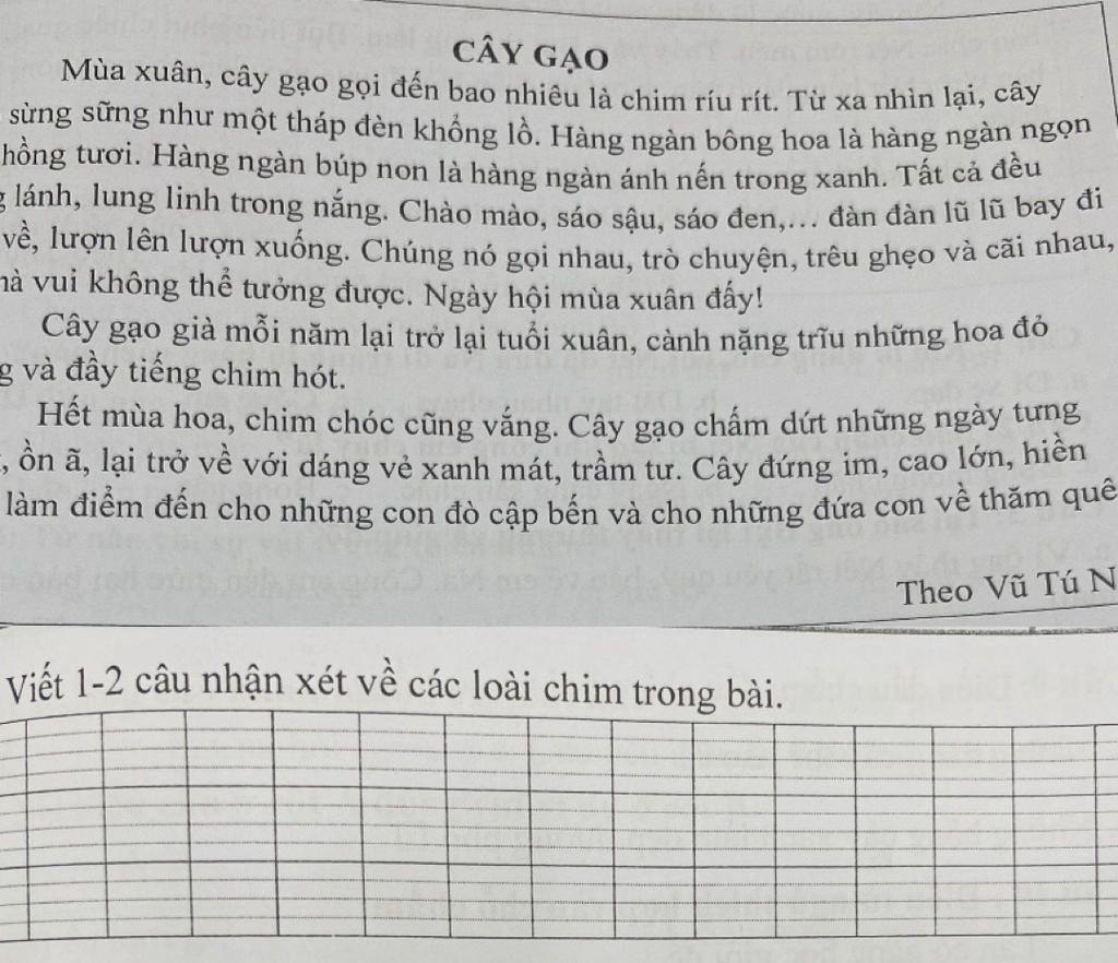 CÂY GẠO Mùa xuân, cây gạo gọi đến bao nhiêu là chim ríu rít. Từ xa nhìn ...